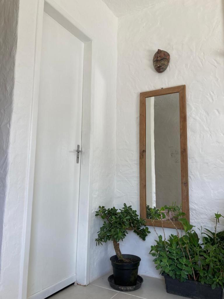 Surf Paradise Apartamentos Pinheira Eksteriør billede